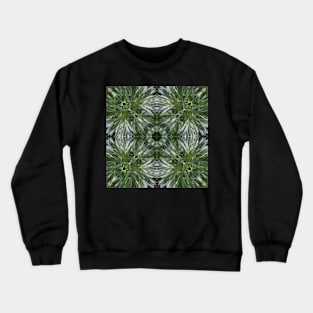 Stocksom Artemisia 5 Crewneck Sweatshirt